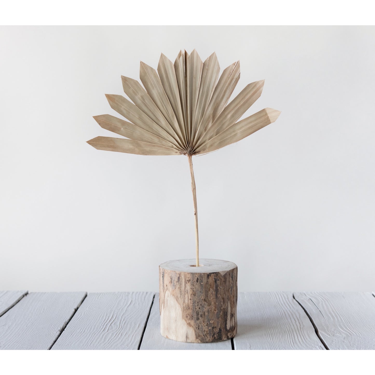 Dried Palm Fan Home Decor