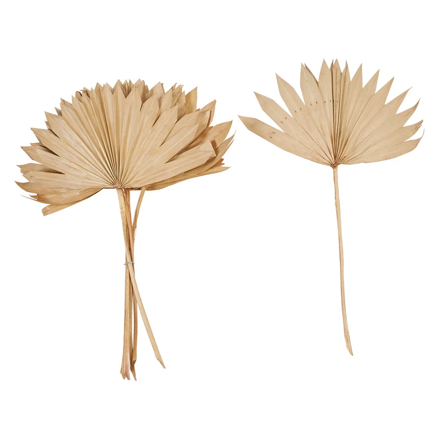 Dried Palm Fan Home Decor