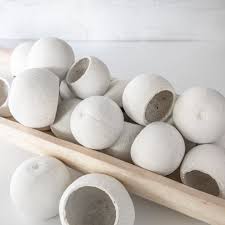 Dried natural Bell cups